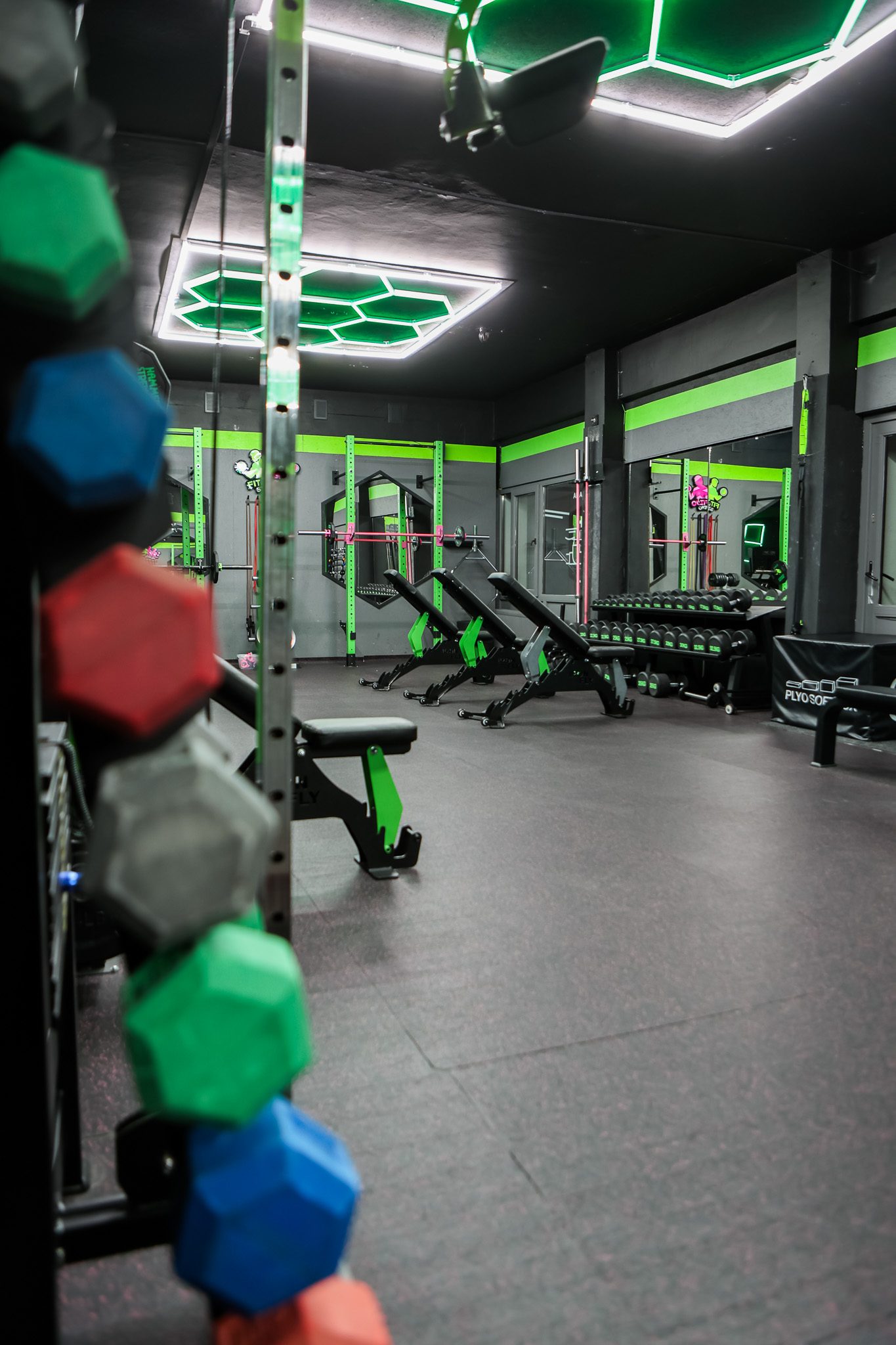 Kolorowe hantle sześciokątne na tle sali treningowej – Fit&Fizjo Studio