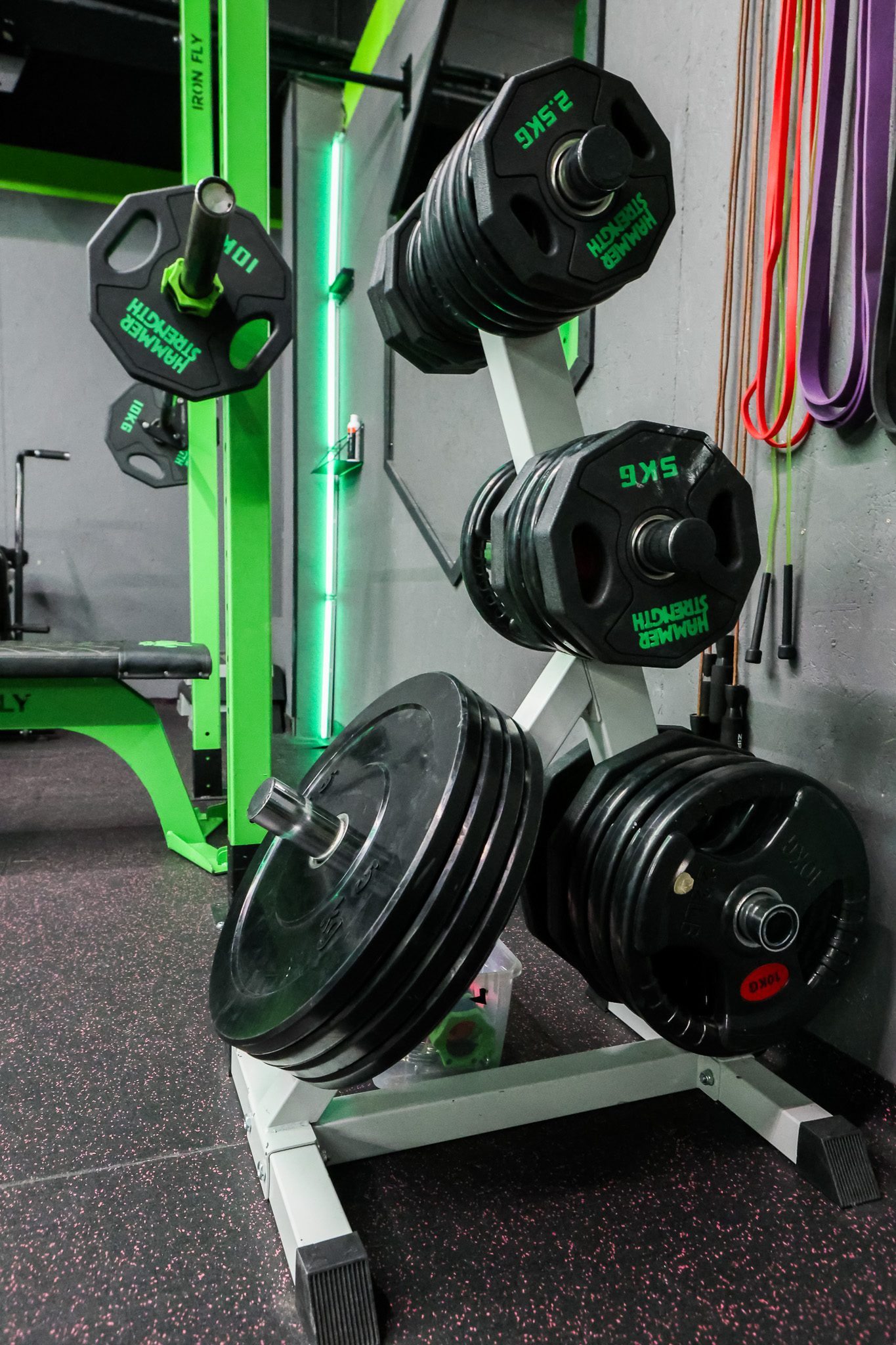 Stojak z talerzami olimpijskimi i gumy oporowe – Fit&Fizjo Studio